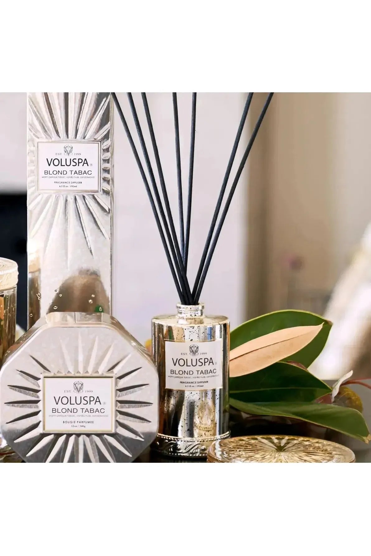 BLOND TABAC HÍBÝLAILMUR